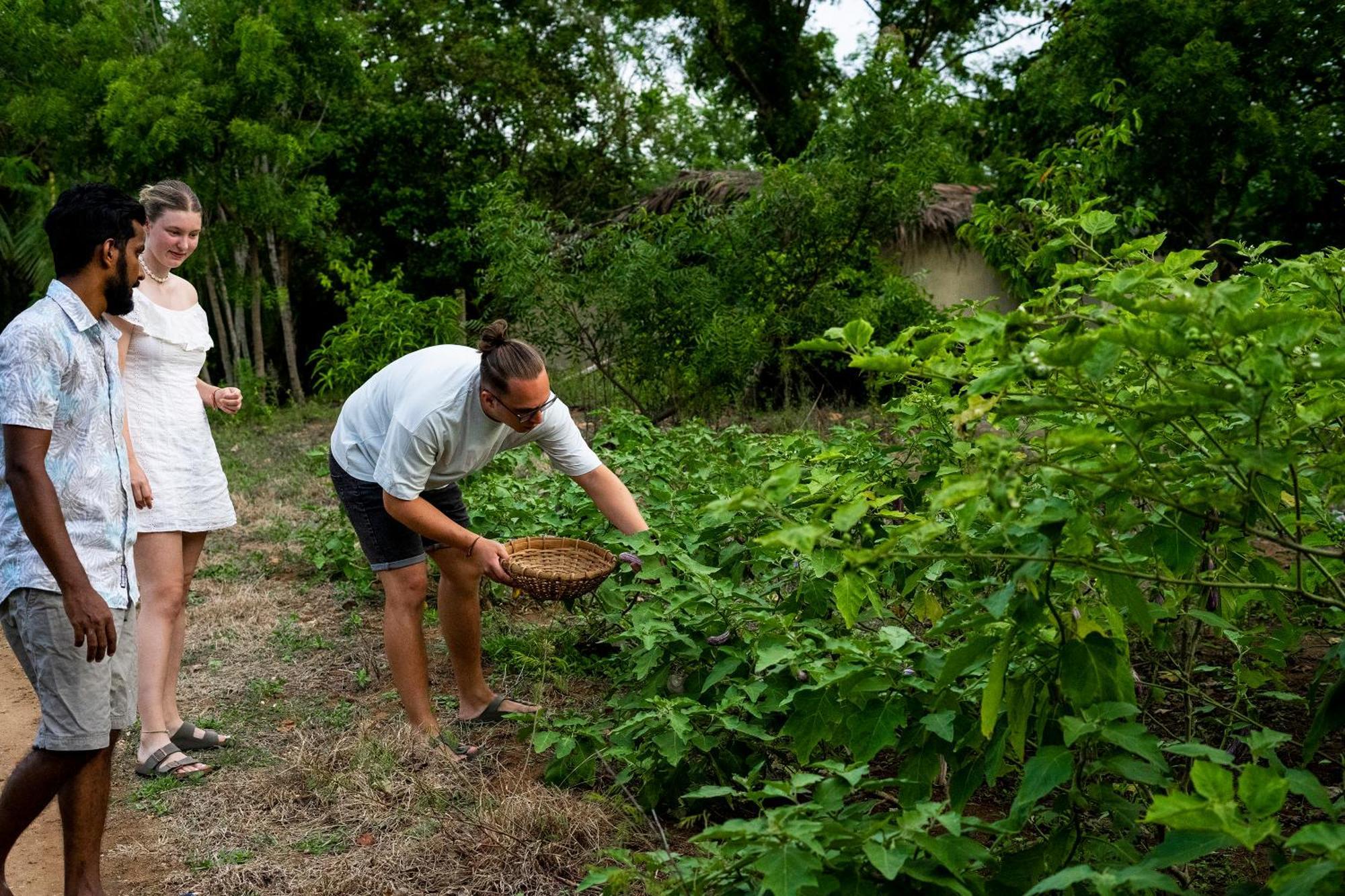 River Paradise Safari House With Cooking Class Udawalawe Zewnętrze zdjęcie