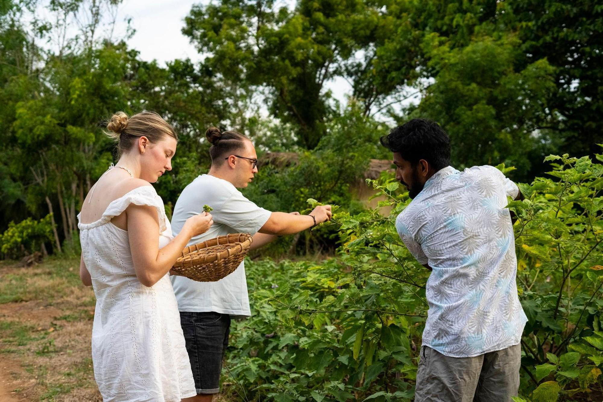 River Paradise Safari House With Cooking Class Udawalawe Zewnętrze zdjęcie
