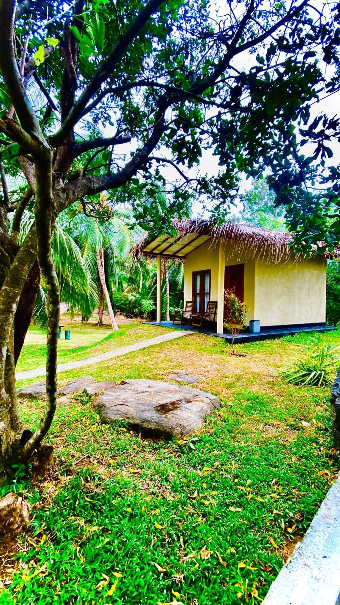 River Paradise Safari House With Cooking Class Udawalawe Zewnętrze zdjęcie